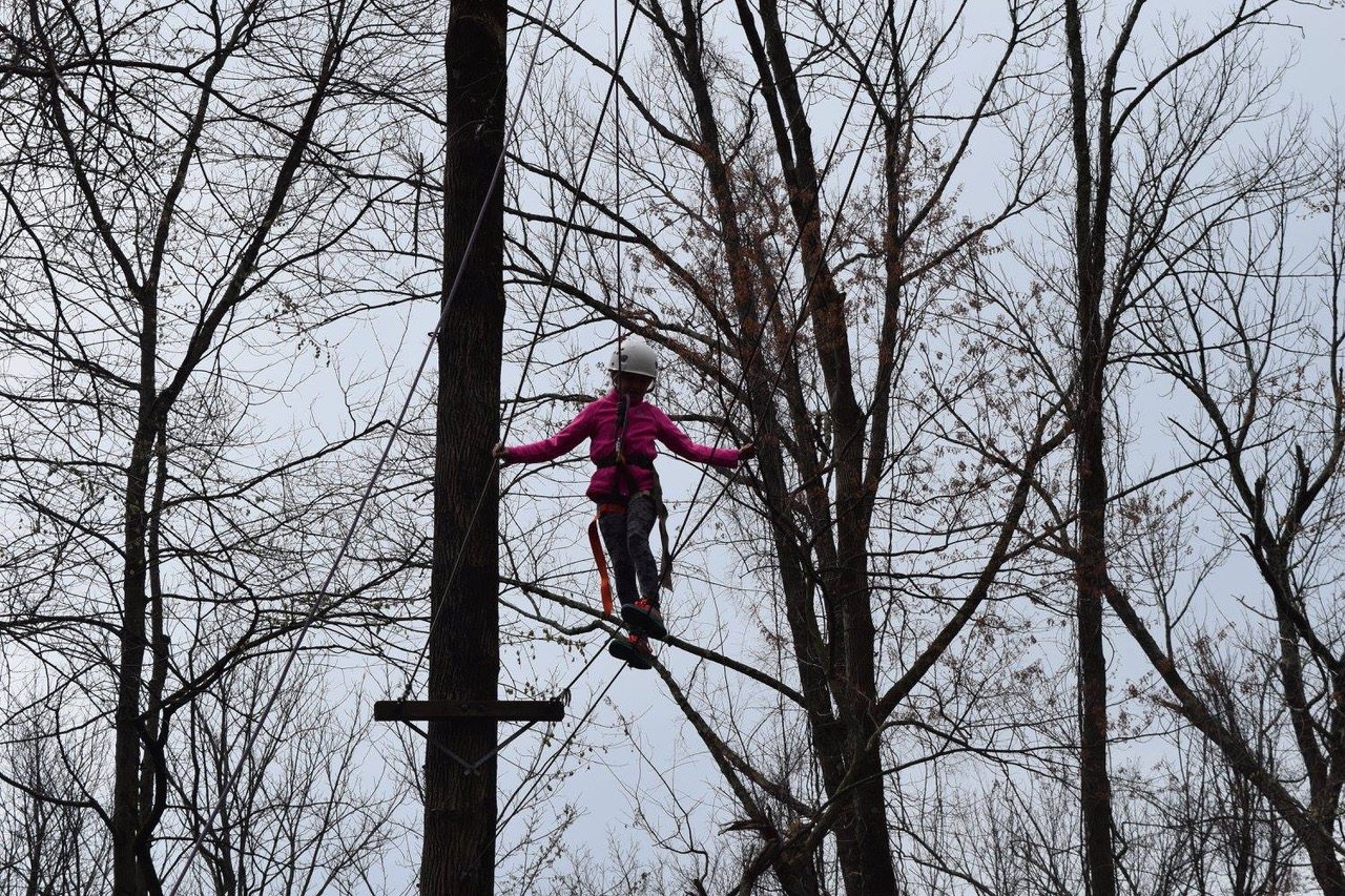 Elf ropes course